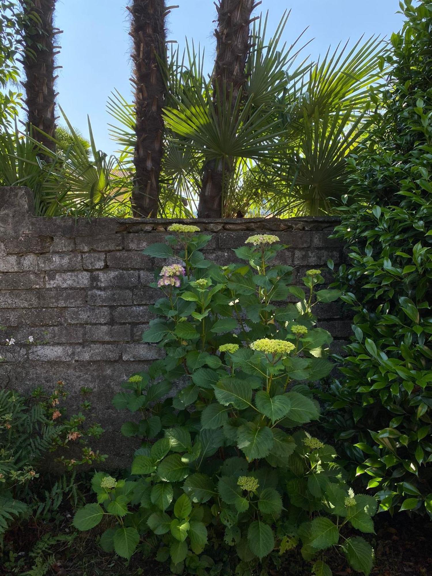 Casa Tranquilla Villa Cannobio Exterior photo